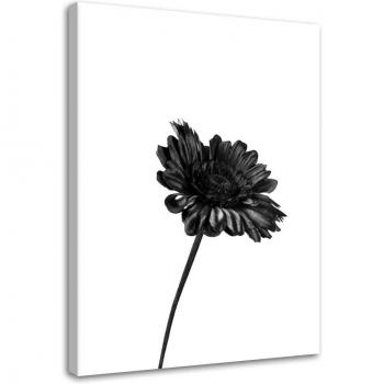 Peinture Murale Fleurs Monochrome 40x60