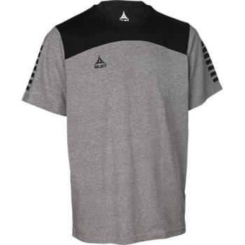 T-Shirt Kollektion