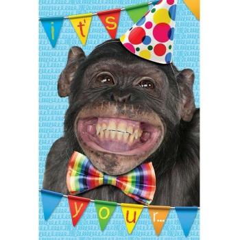 Gemma International Es ist dein Geburtstag! Schimpansenkarte