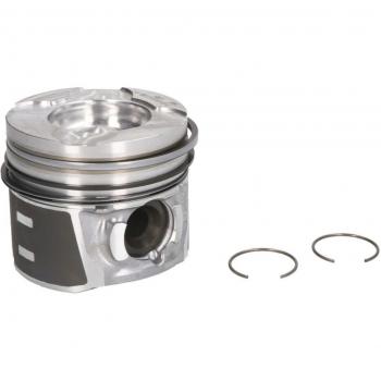 NÜRAL Kolben für FORD, FIAT, PEUGEOT