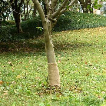 Toile de Jute Décorative – 0,25 × 5 m, 200 g/m²