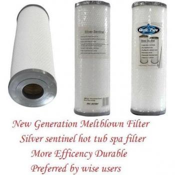 Spa Filter 33,5 cm x 12,5 cm Silber Wächter für Arktis Spa