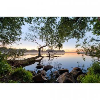 Papermoon Foto‑Tapete „Photo‑Art Keller, Seeblick“ (Papiertapete) – 4,50 m × 2,80 m