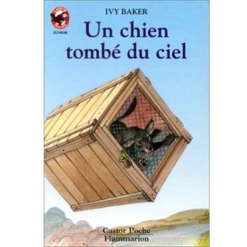 Un chien tombé du ciel