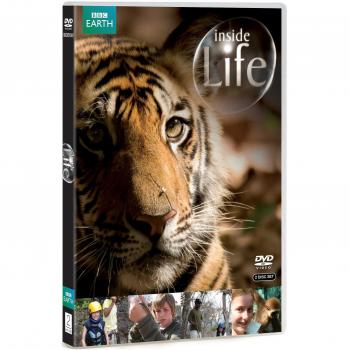 Inside Life [Import Anglais] (Import)