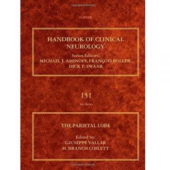 The Parietal Lobe