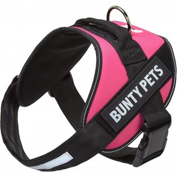 Bunty Pink Dog Harness