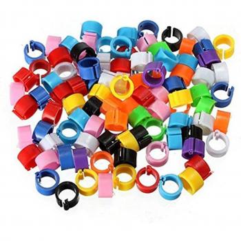 Pigeon Color Identification Rings