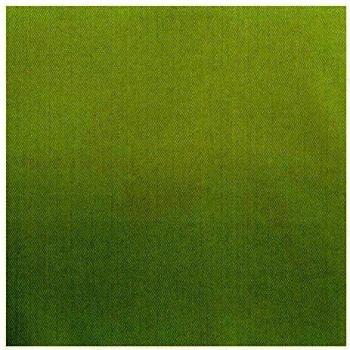 Serviettes en non tissé vert clair 40x40 cm Lino GARCIA DE POU