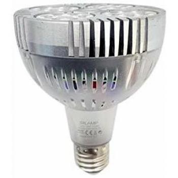 Ampoule LED 35W E27 220V PAR30 24LED 60° Transparente