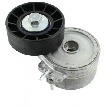 SKF Rullo Tendicinghia VKM 33033