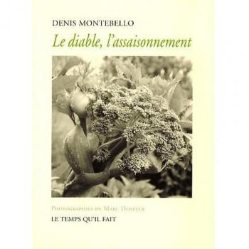 Diable, l'assaisonnement