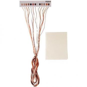 Various Dimensions Horse PALS Pack