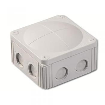 Wiska Abzweigdose COMBI 607/5 LG