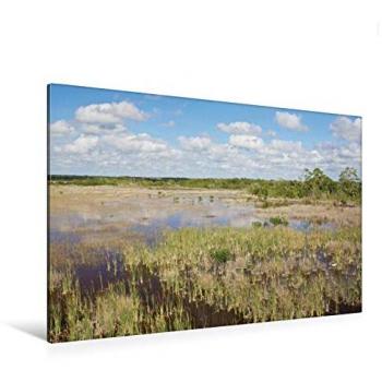 Marsh Trail Naturdruck – Calvendo Premium Leinwand 120 × 80 cm (Ten Thousand Islands)