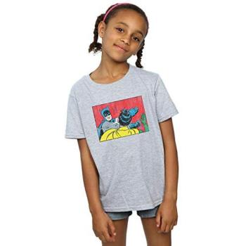 Kids’ DC Comics Batman Robin Short Sleeve Tee – Grey (5‑6)