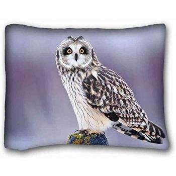 Pillow Cover Búho con Ojos Dorados y Motivo Invernal