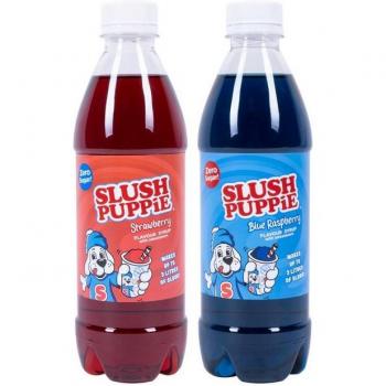 Fizz Creations Blueberry & Strawberry Syrup Duo