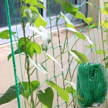 Nylon Climbing Net for Garden Plants