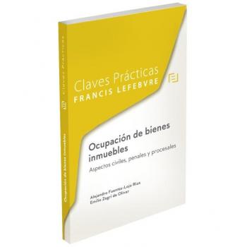 Claves prácticas ocupación de bienes inmuebles. Aspectos civ