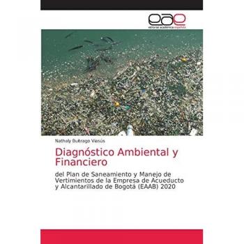 Buitrago Viasús, Nathaly: Diagnóstico Ambiental y Financiero