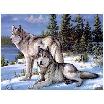 DIY Diamond Painting Two Wolves Mosaic 20X30CM