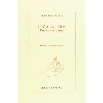 Luz a lo lejos poesia completa