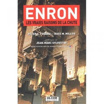 Enron. Les Vraies Raisons De La Chute