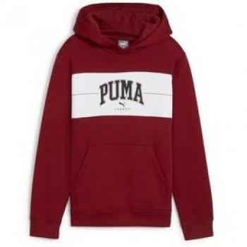 PUMA Kapuzensweatshirt SQUAD HOODIE FL B