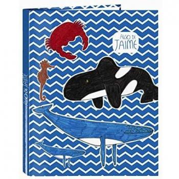 Folio Multi-Color 4 ANI Dossier