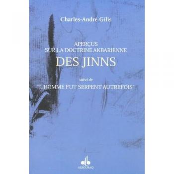Aperçus sur la doctrine akbarienne des djinns