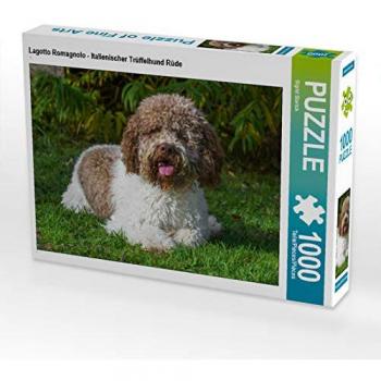 CALVENDO Puzzle Lagotto Romagnolo