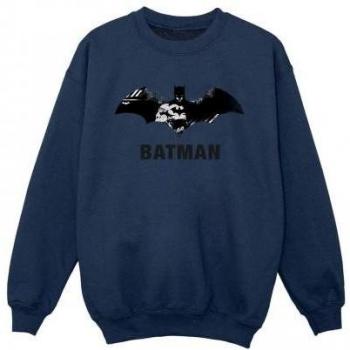 Felpa DC Comics Batman Stare Logo