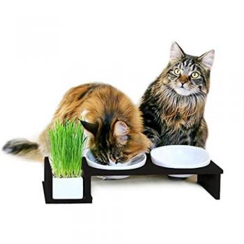 Canadian Cat Company Futternapf Cat Diner Futterbar