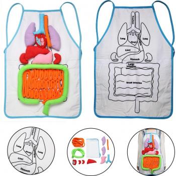 Anatomy Awareness Teaching Apron