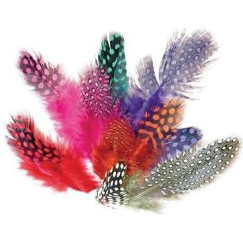 Kit scrapbooking : 200 plumes de pintade en couleur