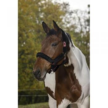 Cabezada de Caballo Norton Full Mouton Sintético