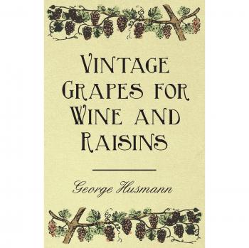 Vintage Grapes for Wine and Raisins