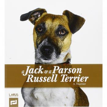 Il Jack & il Parson Russel Terrier. Ediz. illustrata