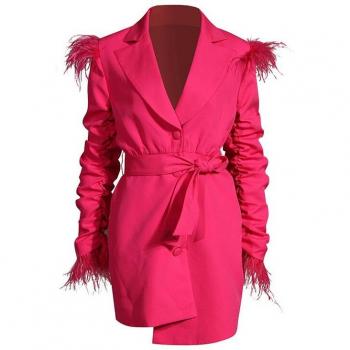 EAM Langarm Kleid mit Plissee und Federakzenten