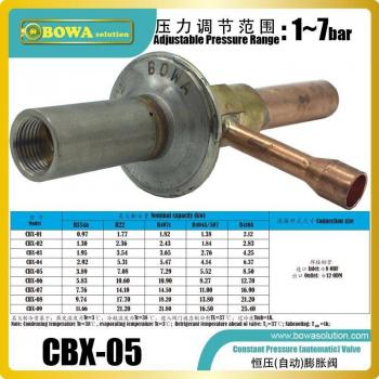 Pressure Regulator Valve