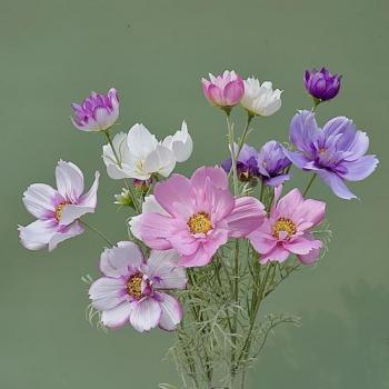 Bright Pink Artificial Blossom – One-Piece Set