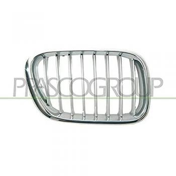 Radiator grill PRASCO BM8202013, enjoliveur de calandre BMW X5