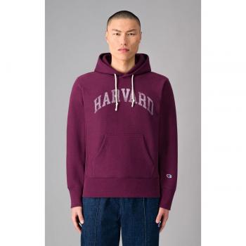 Champion Purple Hoodie for Men, Size XL