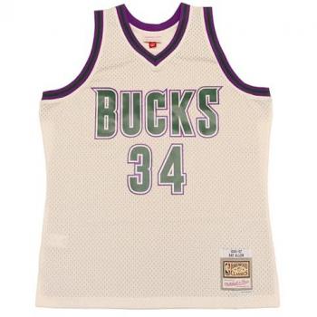 Ray Allen Swingman Jersey Milwaukee Bucks