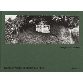 Marcel Proust, la figure des pays