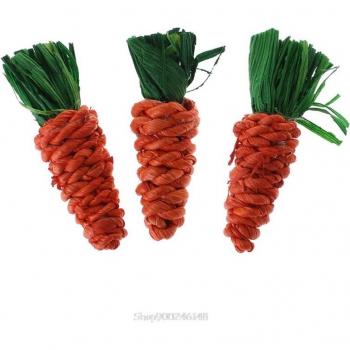 3 Pack Carrot Shaped Chew Toys for Small Pets