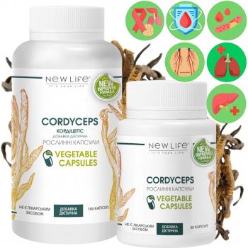 Cordyceps Supplement