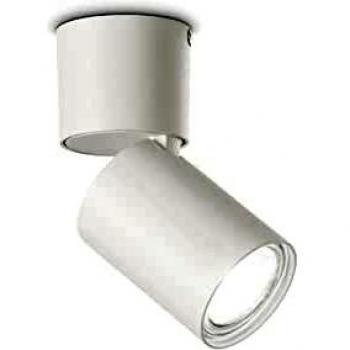 Adjustable White Surface-Mounted Downlight by Toby