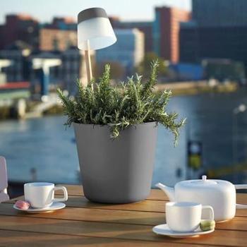 Anthracite Solar Tabletop Flower Light